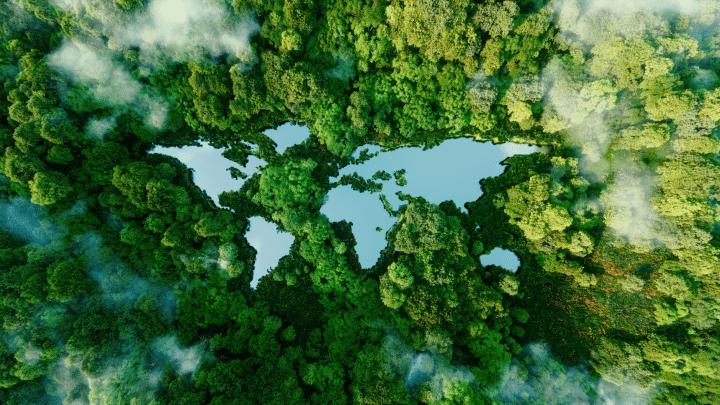 Map made out of lakes in a forest as seen from high above
